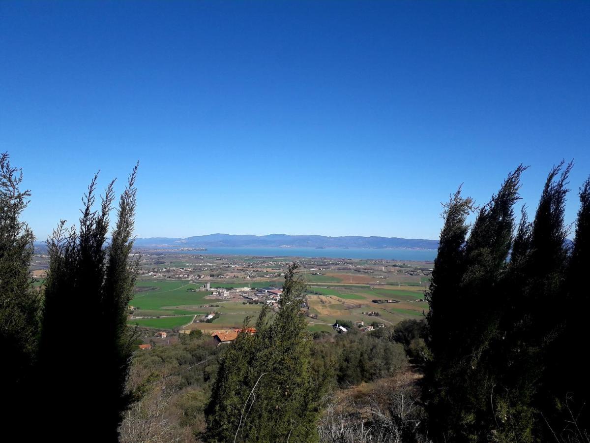 Villa Il Vecchio Frantoio Panicale Exterior foto